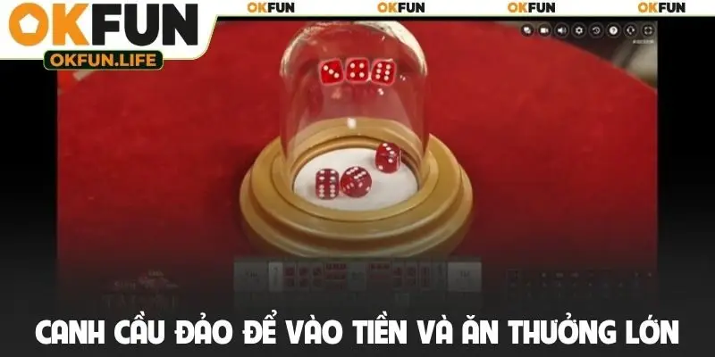 Canh cầu đảo để vào tiền và ăn thưởng lớn