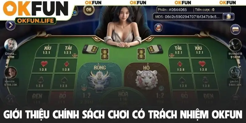 Giới thiệu chính sách chơi có trách nhiệm OKFUN