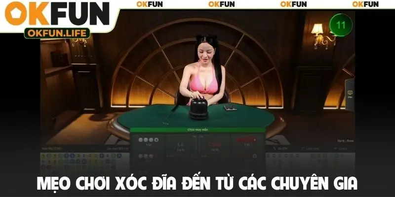 Mẹo chơi Xóc đĩa đến từ các chuyên gia hàng đầu